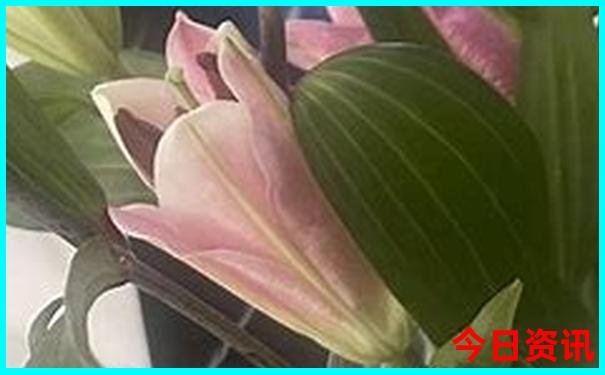 长沙必去的三个景点